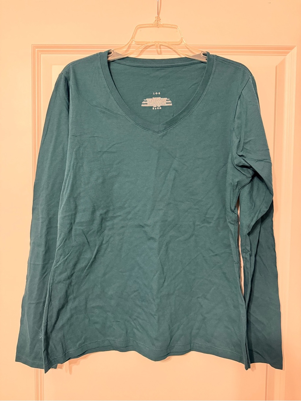 Long Sleeve V-Neck Top in Teal